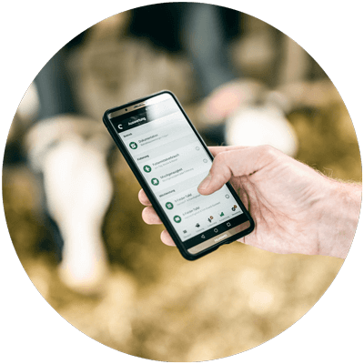 fodjan App im Milchviehstall